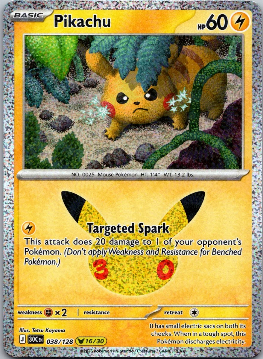 Pikachu Pokémon card front, exact RAWCATCH inventory item HH-000048